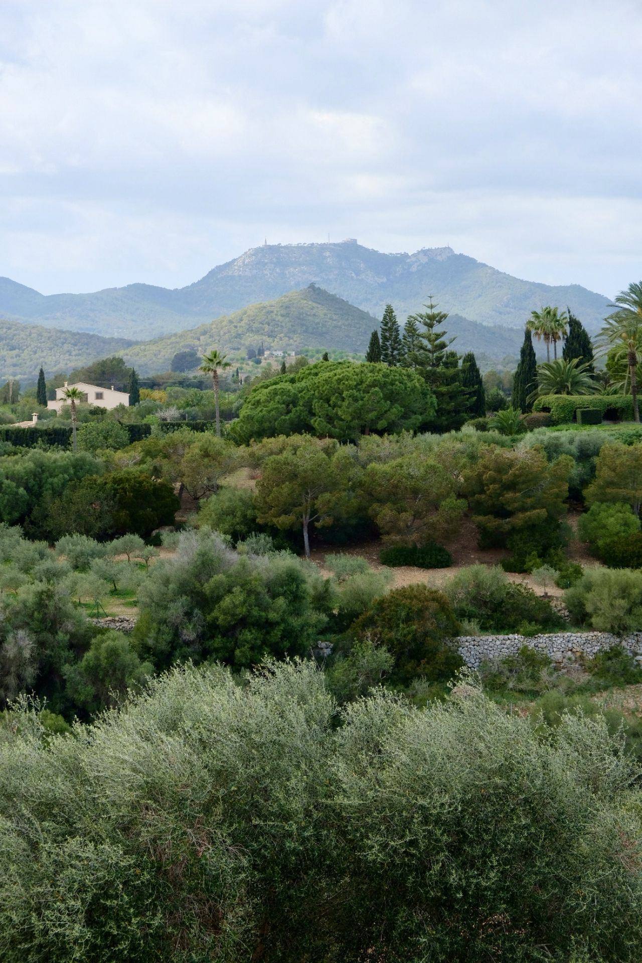 Beautiful finca with panoramic views in S'Espinagar - 1
