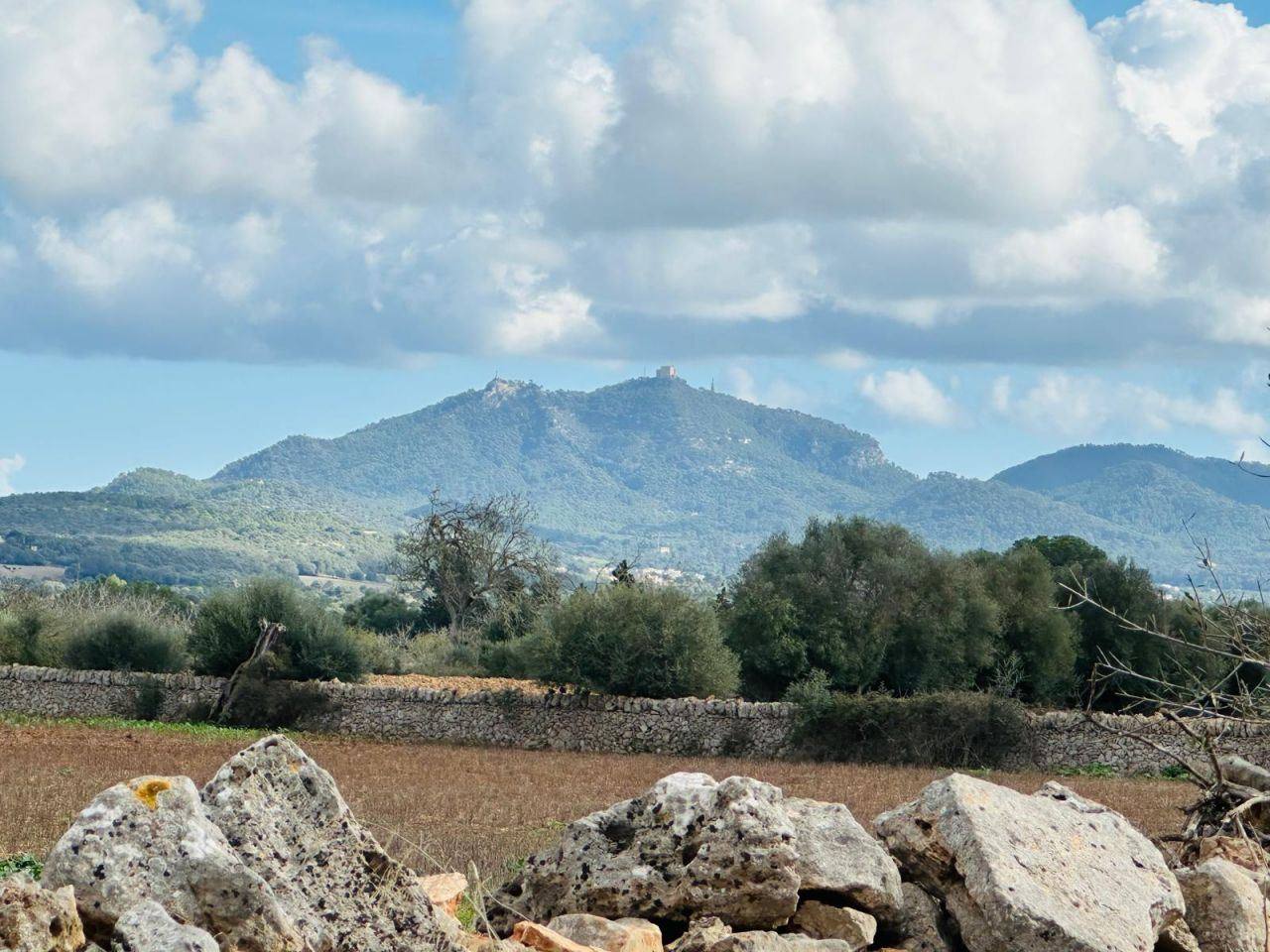 Building Plot in Son Mesquida. Basic Project Approved - 1