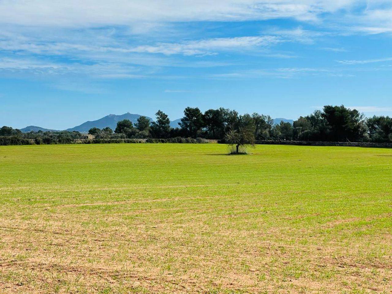 Building plot with beautiful views in Campos - 1