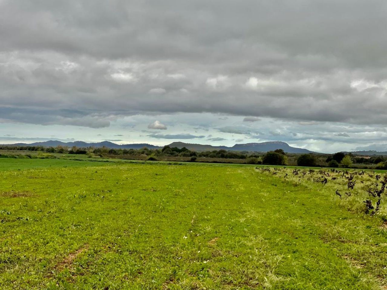 plot with beautiful view - 1