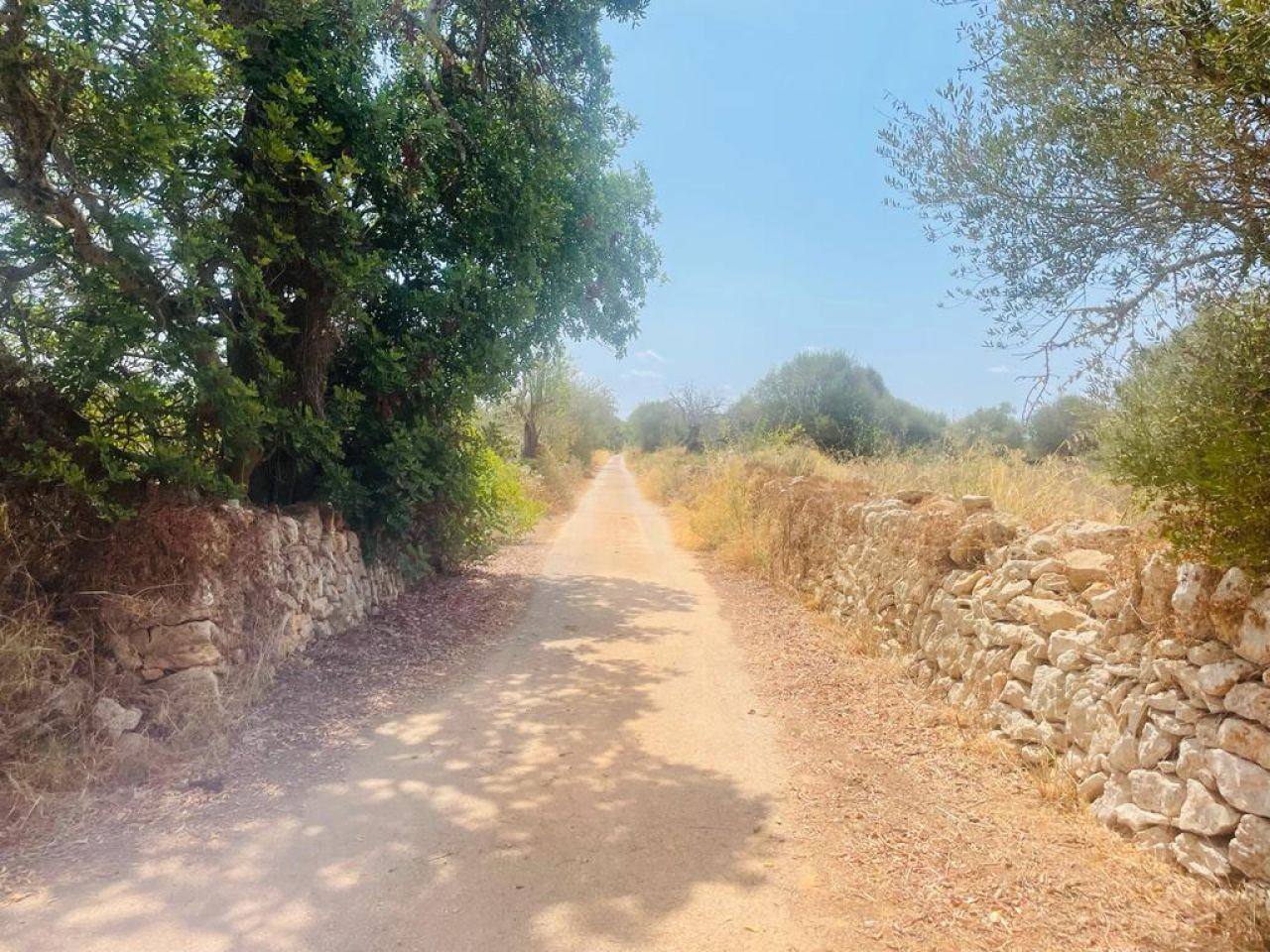 LAND WITH PROJECT IN SANTANYÍ - 1