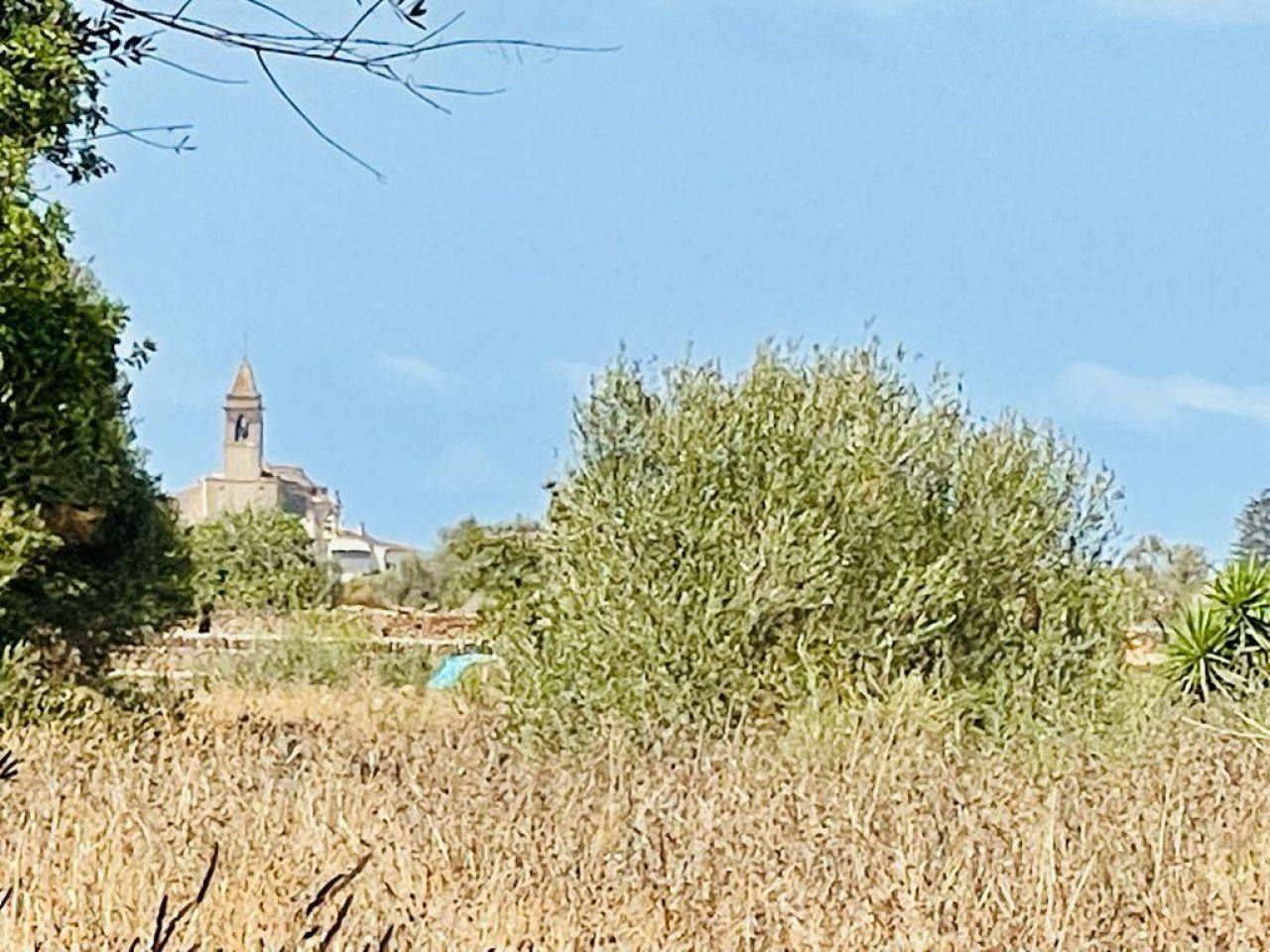 LAND WITH PROJECT AND LICENCE IN SANTANYÍ - 1