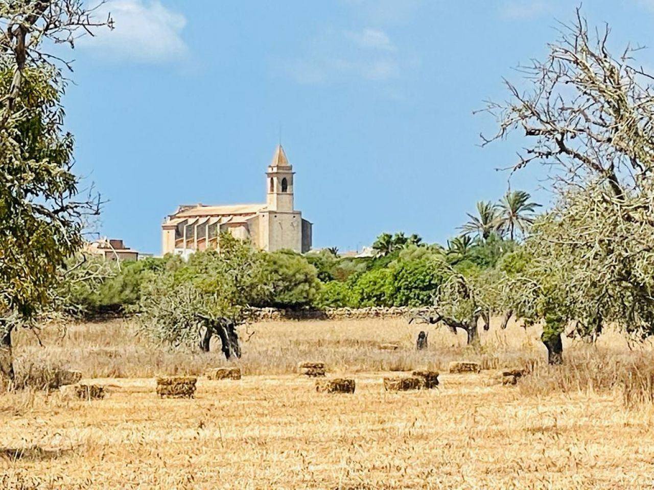 Building land with project in Santanyi and building licence - 1