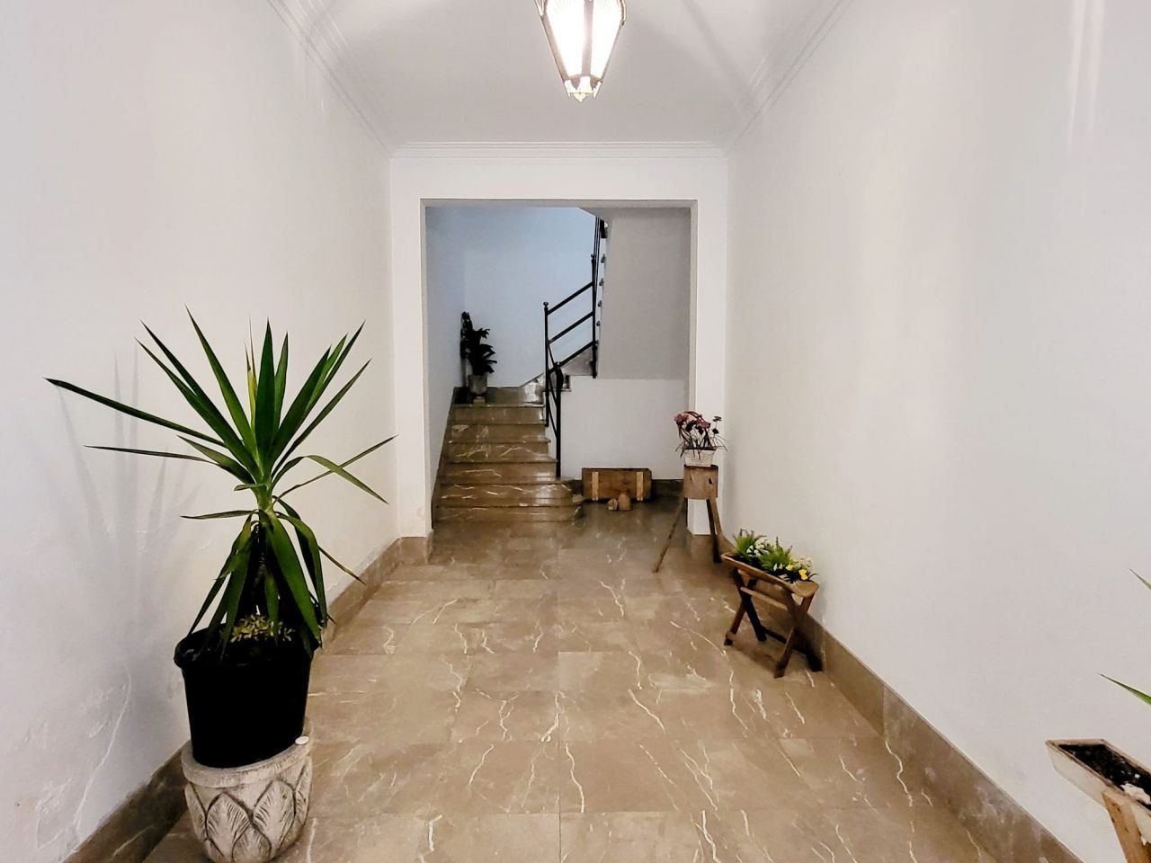 House with commercial and possibility of 2 appartments - 1