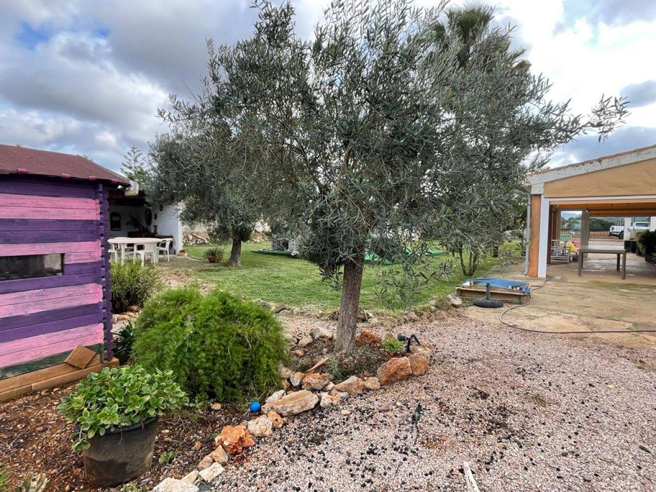 Country house in Felanitx - 1