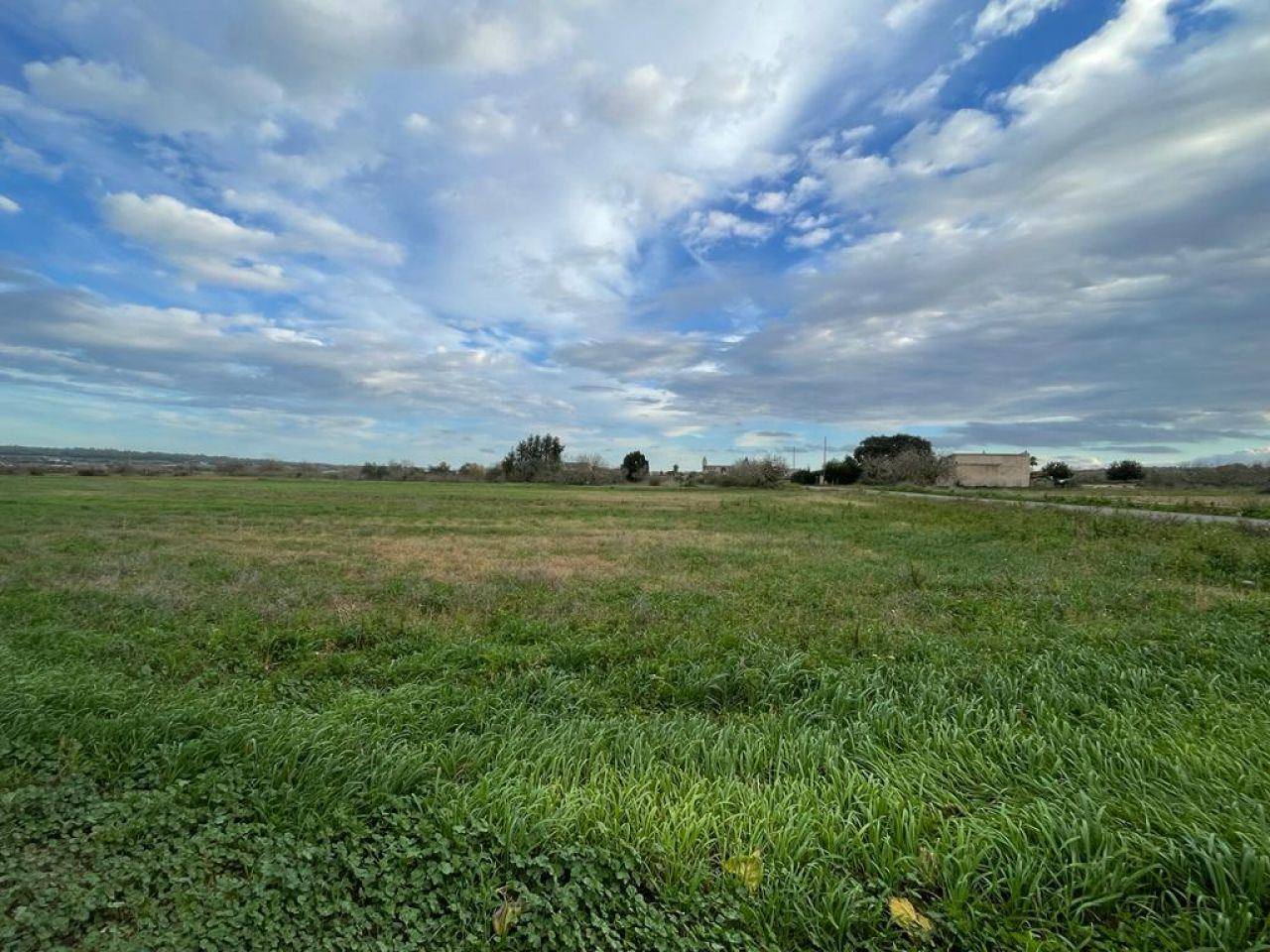 Plot in Petra - 1