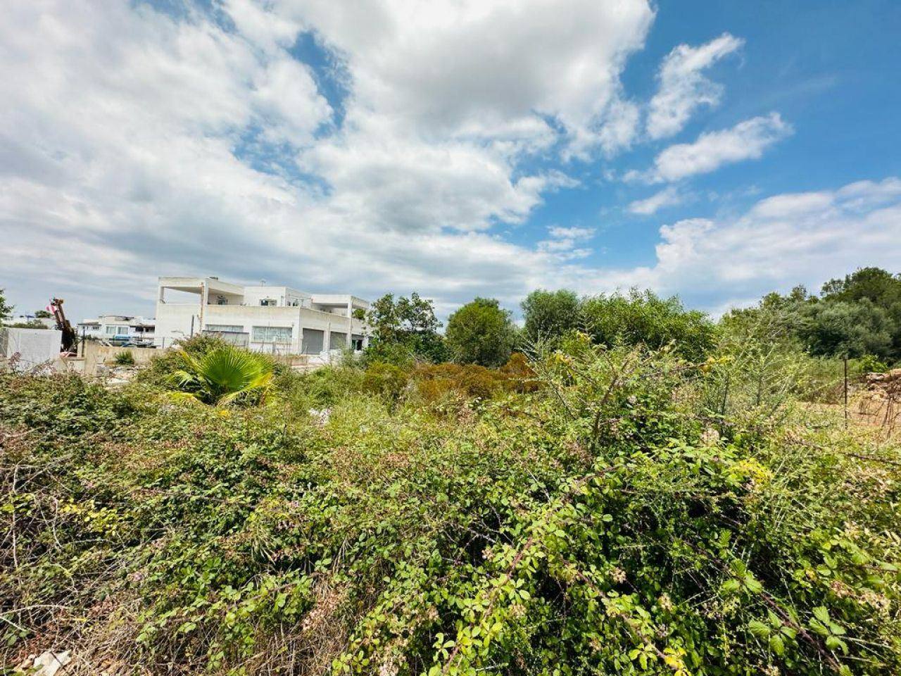 Plot in a urbanisation in Cala D'or - 1