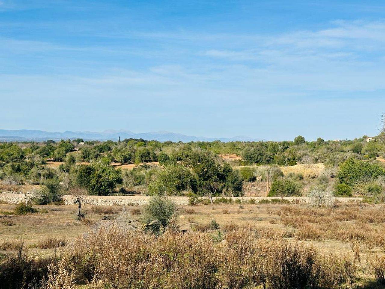 Plot on the mountain with project for house and pool, Es Carritxo - 1