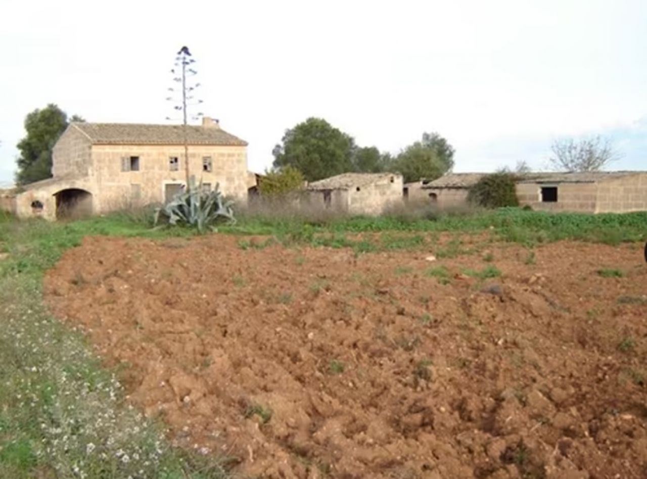 Finca in a very quiet location with 42000m2 of land - 1