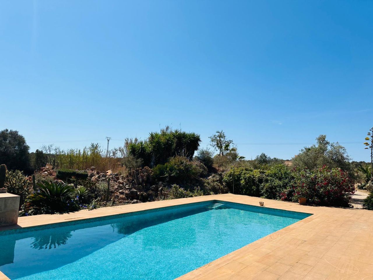 Country house in a very quiet location with guest flat in Ses Salines - 1