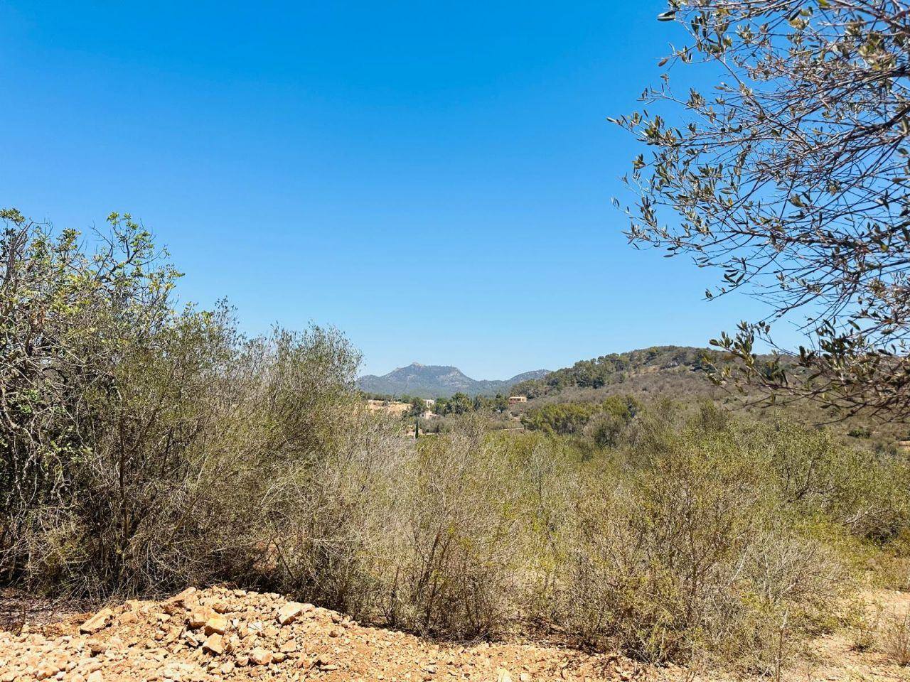 Plot of land with project in Cas Concos - 1