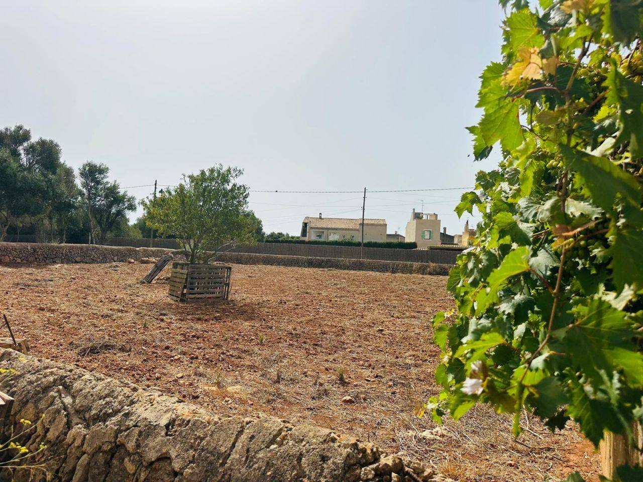 PLOT WITH DEVELOPMENT POTENTIAL IN CALONGE - 1